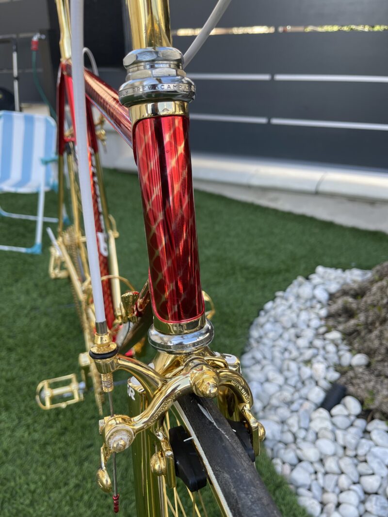 Tommasini gold - immagine 15